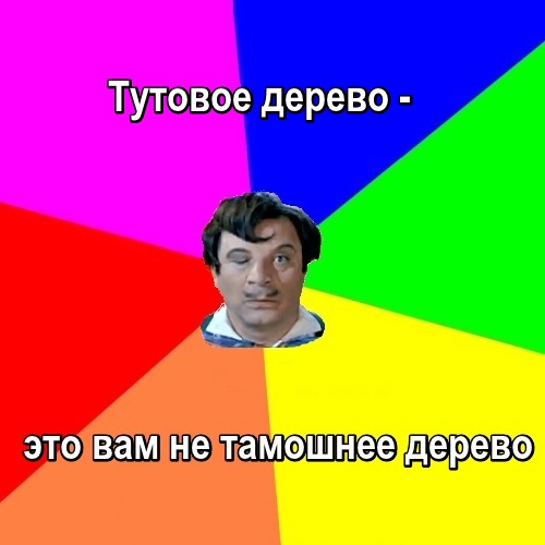 Сичкин говорит: тутовое дерево - это вам не тамошнее дерево.