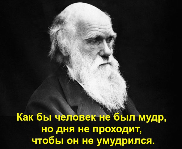 Как бы человек не был мудр, но дня не проходит, чтобы он не умудрился.