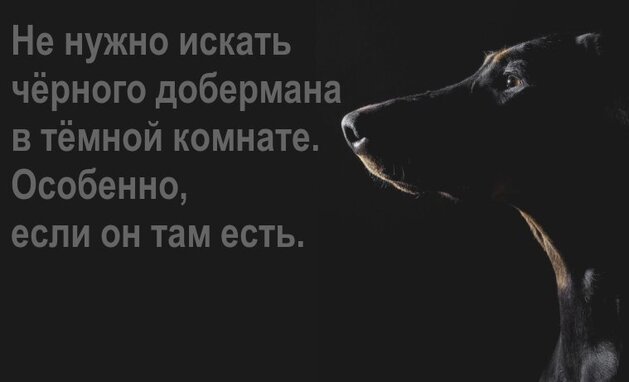 Не нужно искать чёрного добермана в тёмной комнате. Особенно если он там есть.