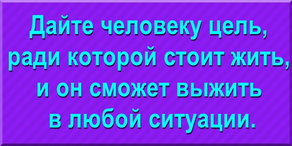 Дайте человеку цель, ради которой стоит жить, и он сможет выжить в любой ситуации.