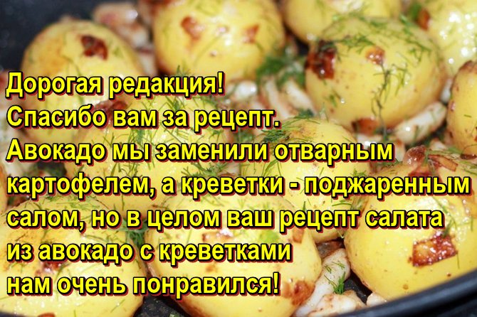 Дорогая редакция! Спасибо вам за рецепт. Авокадо мы заменили отварным картофелем, а креветки - поджаренным салом, но в целом ваш рецепт салата из авокадо с креветками нам очень понравился.