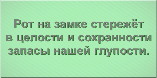 стережёт в целости и сохранности запасы нашей глупости.