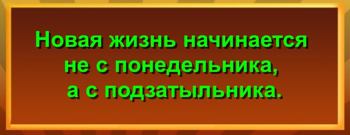 Новая жизнь начинается не с понедельника, а с подзатыльника.