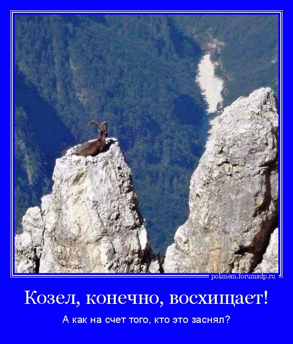 Горный гозел. Козел, конечно, восхищает! А как на счет того, кто это заснял?