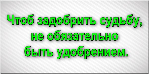 Чтоб задобрить судьбу, не обязательно быть удобрением.