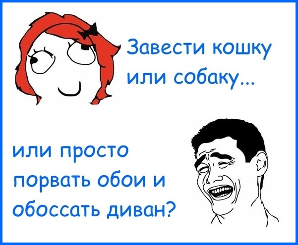 Завести кошку или собаку, или просто порвать обои и обоссать диван? 