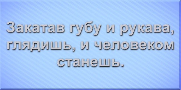 Закатав губу и рукава, глядишь и человеком станешь.