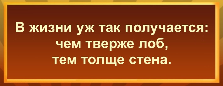 В жизни уж так получается: чем тверже лоб, тем толще стена.