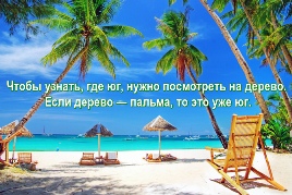 Чтобы узнать, где юг, нужно посмотреть на дерево. Если дерево — пальма, то это уже юг.