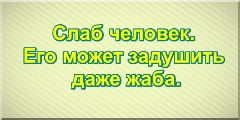 Слаб человек. Его может задушить даже жаба.