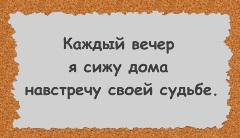 Каждый вечер я сижу дома навстречу своей судьбе.