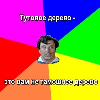 Сичкин говорит: тутовое дерево - это вам не тамошнее дерево.