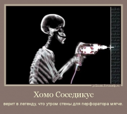 Хомо Соседикус верит в легенду, что утром стены для перфоратора мягче.