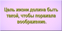 Цель жизни должна быть такой, чтобы поражала воображение.