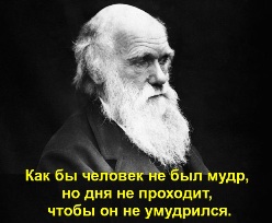 Как бы человек не был мудр, но дня не проходит, чтобы он не умудрился.