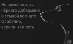 Не нужно искать чёрного добермана в тёмной комнате. Особенно если он там есть.