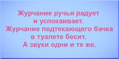 Журчание ручья радует и успокаивает. Журчание подтекающего бачка в туалете бесит. А звуки одни и те же.