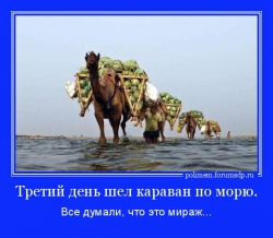 Третий день шел караван по морю. Все думали, что это мираж...