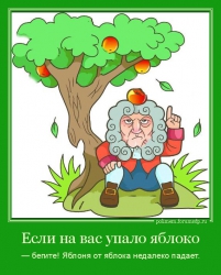 Ньютон под яблоней. Если на вас упало яблоко — бегите! Яблоня от яблока недалеко падает. 