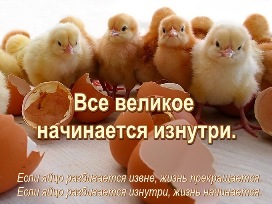 Цыпленок вылупился из яйца.