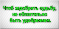 Чтоб задобрить судьбу, не обязательно быть удобрением.