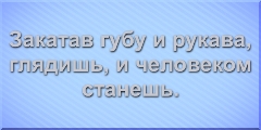 Закатав губу и рукава, глядишь и человеком станешь.