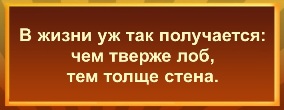 В жизни уж так получается: чем тверже лоб, тем толще стена.