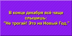 В конце декабря всё чаще слышишь: "Не трогай! Это на Новый Год."