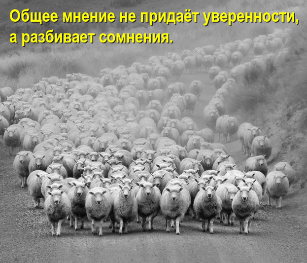 Общее мнение не придаёт уверенности, а разбивает сомнения. Бараны на дороге.