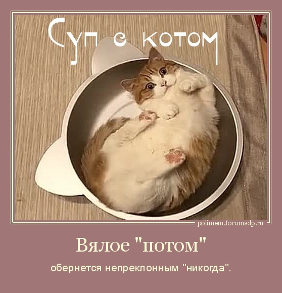 Суп с котом. Вялое "потом" обернется непреклонным "никогда".